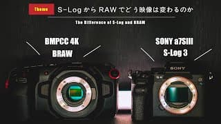 Video Thumbnail